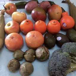 Santa Fe City Different Foodie